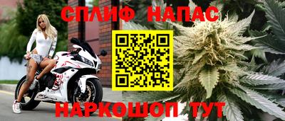 прущие крисы Ирбит