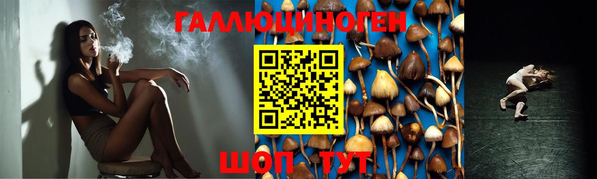 Псилоцибиновые грибы GOLDEN TEACHER Лабытнанги